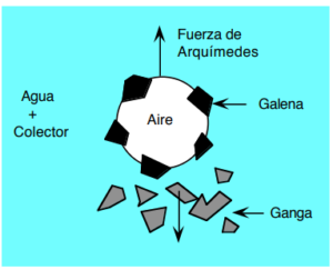 flotacion principio