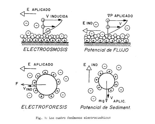 Fenómenos Electrocinéticos