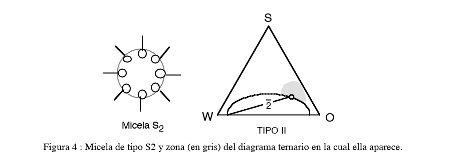 COMPORTAMIENTO DE FASE SEGUN LA TEORIA DE WINSOR